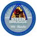 Пиво Стинбрюгге Вит-Бланш (Steenbrugge Wit-Blanche) 0,33л бутылка