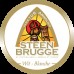 Пиво Стинбрюгге Вит-Бланш (Steenbrugge Wit-Blanche) 0,33л бутылка